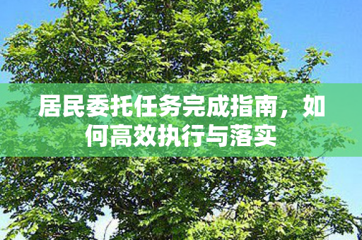 居民委托任务完成指南图片
