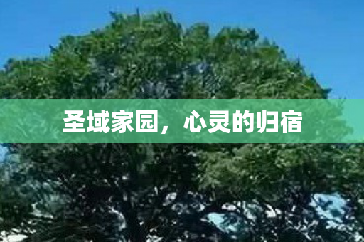 心灵的归宿图片