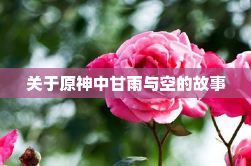 关于原神中甘雨与空的故事图片