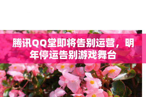腾讯QQ堂即将告别运营图片
