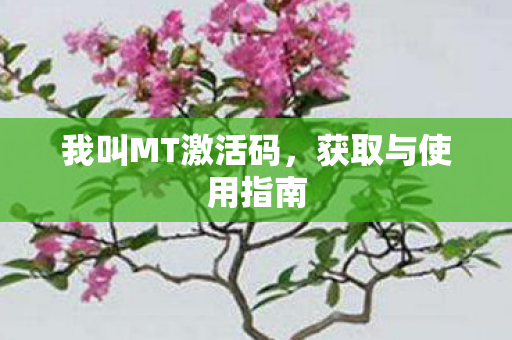 我叫MT激活码图片