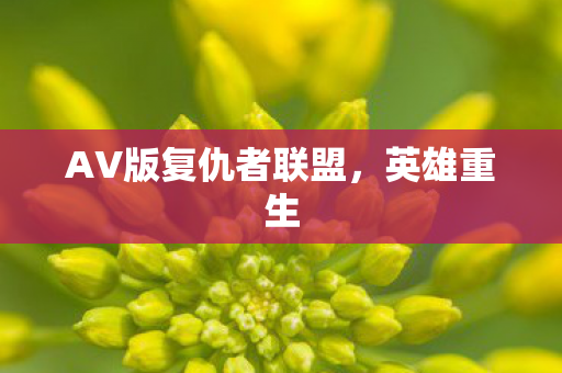AV版复仇者联盟图片