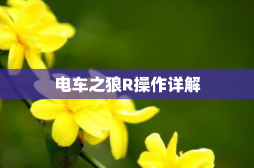电车之狼R操作详解图片