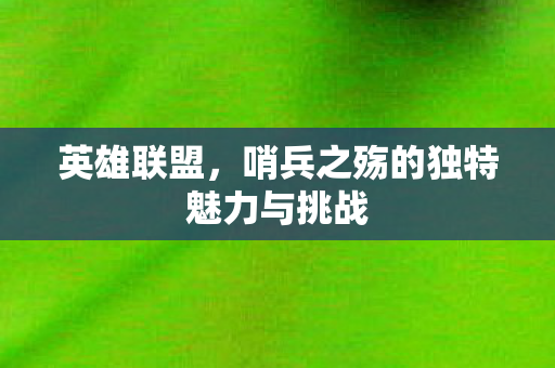 哨兵之殇的独特魅力与挑战图片
