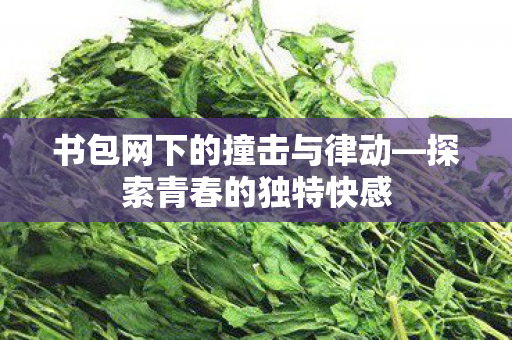 书包网下的撞击与律动图片