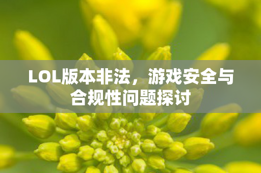 游戏安全与合规性问题探讨图片