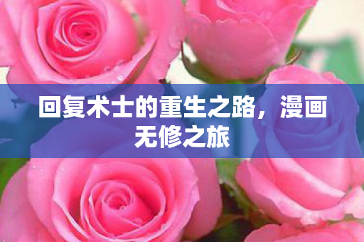 回复术士的重生之路图片