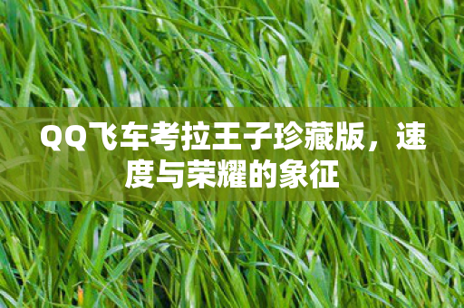 QQ飞车考拉王子珍藏版图片