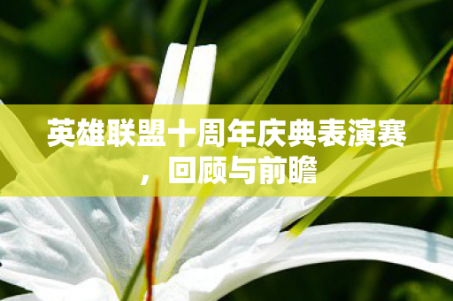英雄联盟十周年庆典表演赛图片