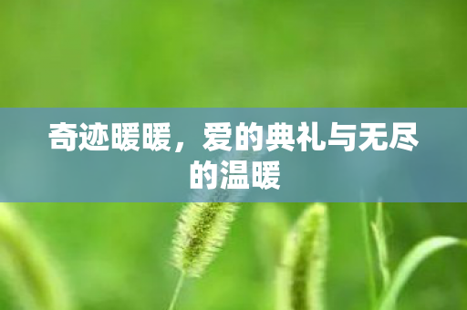 爱的典礼与无尽的温暖图片