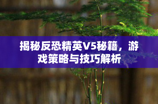 揭秘反恐精英V5秘籍图片