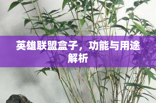 功能与用途解析图片