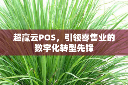 引领零售业的数字化转型先锋图片