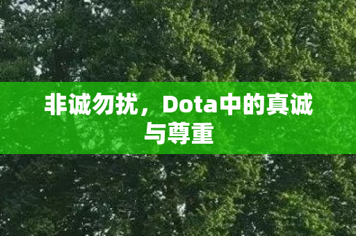Dota中的真诚与尊重图片