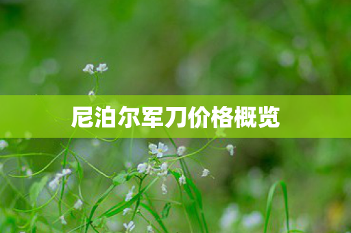 尼泊尔军刀价格概览图片