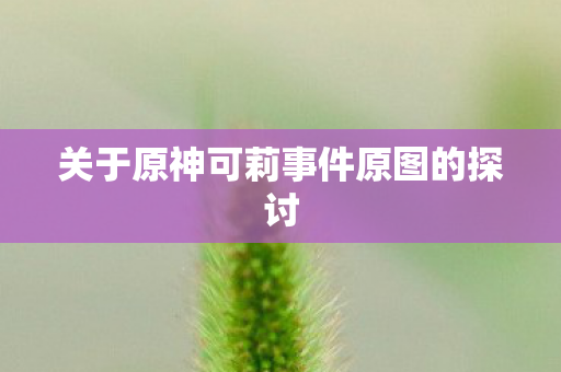 关于原神可莉事件原图的探讨图片