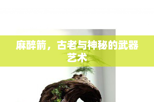 古老与神秘的武器艺术图片