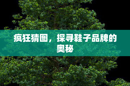 探寻鞋子品牌的奥秘图片
