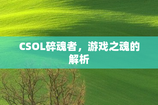 CSOL碎魂者图片