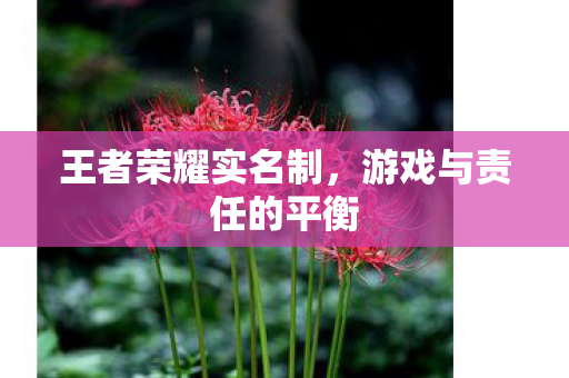 游戏与责任的平衡图片