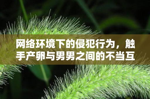触手产卵与男男之间的不当互动图片