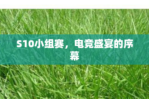 电竞盛宴的序幕图片