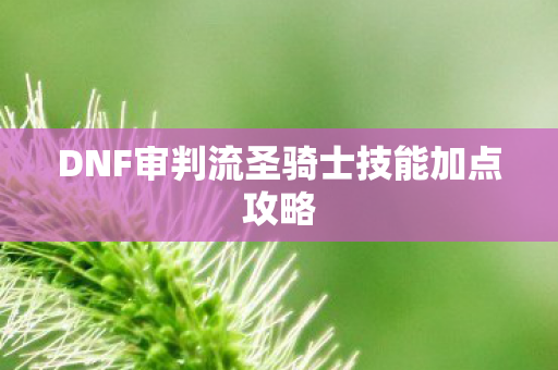 DNF审判流圣骑士技能加点攻略图片