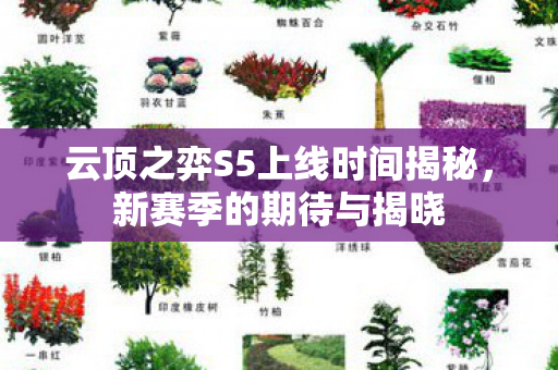 云顶之弈S5上线时间揭秘图片