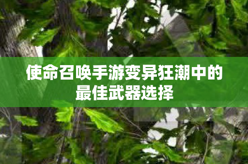 使命召唤手游变异狂潮中的最佳武器选择图片