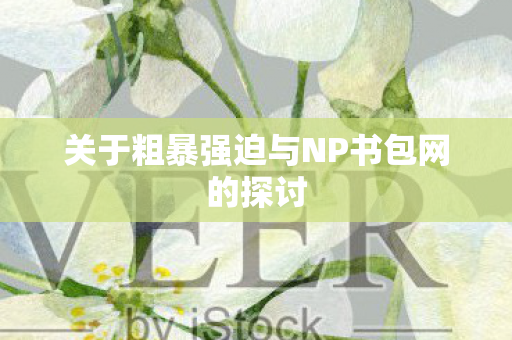 关于粗暴强迫与NP书包网的探讨图片