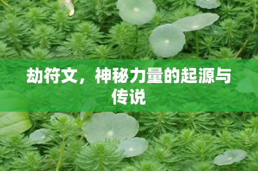 神秘力量的起源与传说图片