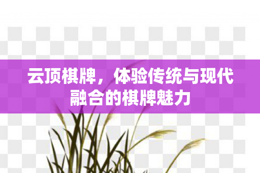 体验传统与现代融合的棋牌魅力图片