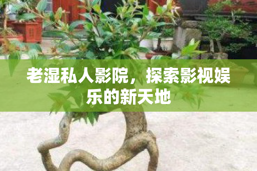 探索影视娱乐的新天地图片