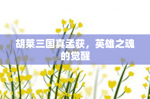 胡莱三国真孟获图片