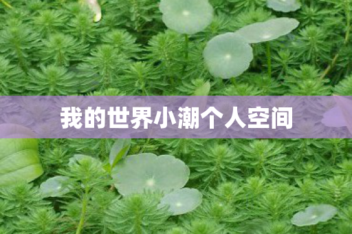 我的世界小潮个人空间图片