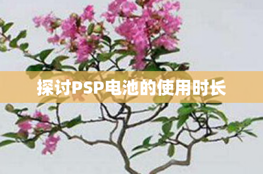 探讨PSP电池的使用时长图片