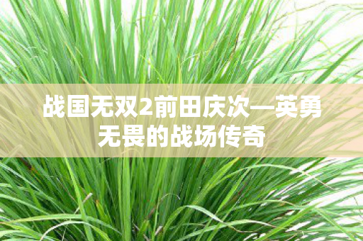 战国无双2前田庆次图片