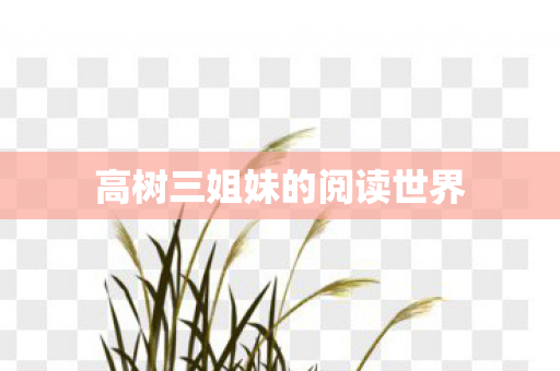 高树三姐妹的阅读世界图片