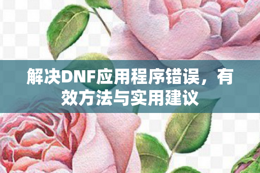 解决DNF应用程序错误图片