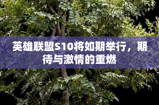 英雄联盟S10将如期举行图片