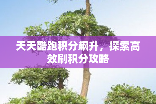 探索高效刷积分攻略图片