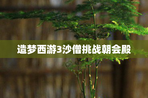 造梦西游3沙僧挑战朝会殿图片