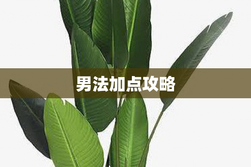 男法加点攻略图片