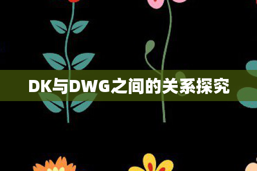 DK与DWG之间的关系探究图片