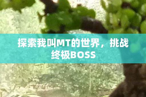 探索我叫MT的世界图片