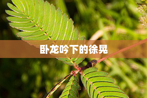 卧龙吟下的徐晃图片