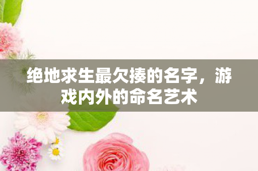 绝地求生最欠揍的名字图片