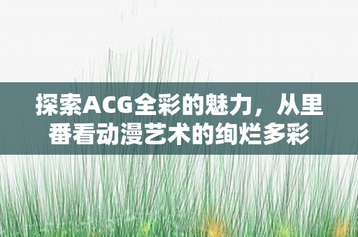 从里番看动漫艺术的绚烂多彩图片