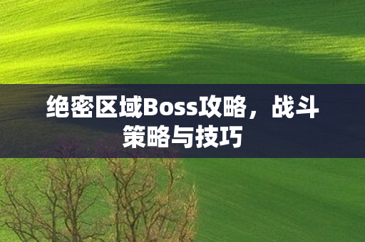 绝密区域Boss攻略图片