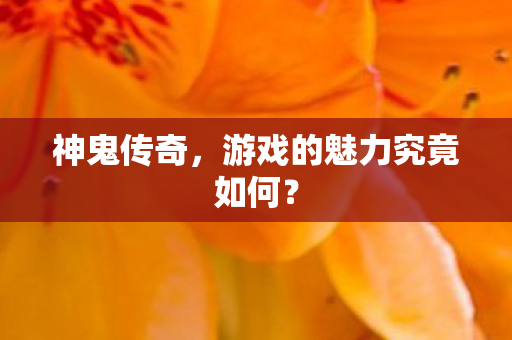 游戏的魅力究竟如何图片